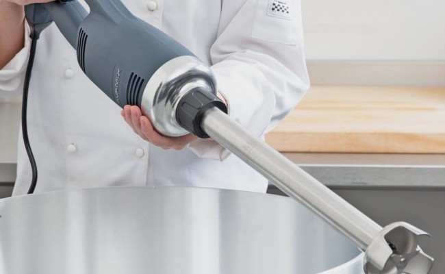 NSF Commercial Immersion Blender 350w+200mm