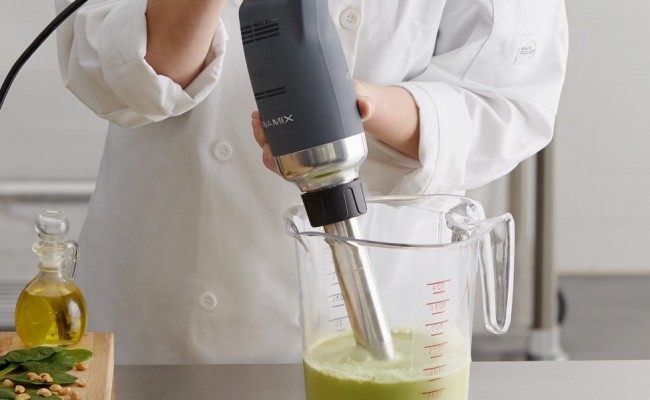 NSF Commercial Immersion Blender 350w+300mm